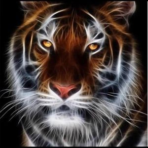 Meet your Posher, Kay